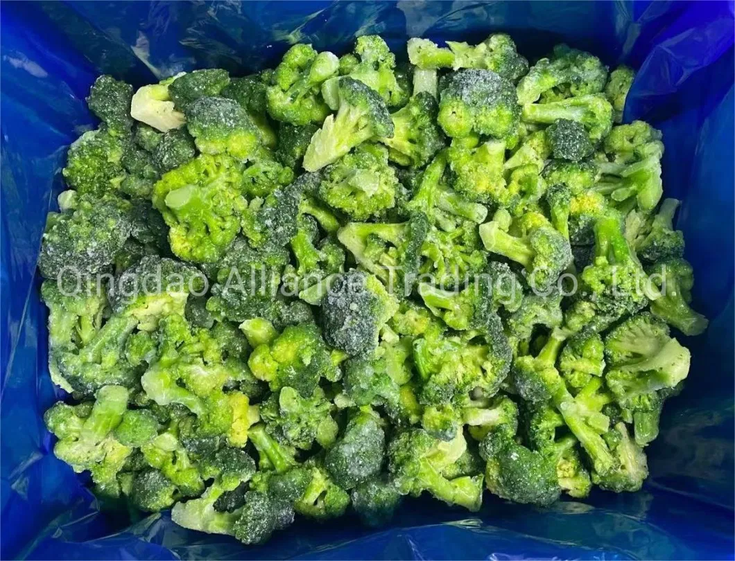 China Great Value Frozen Crop Green Broccoli Organic IQF Broccoli with Retail Bulk Price for Exporting