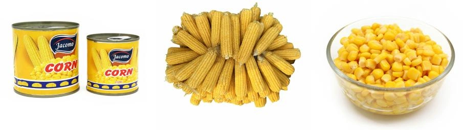 Canned Sweet Corn with High Quality