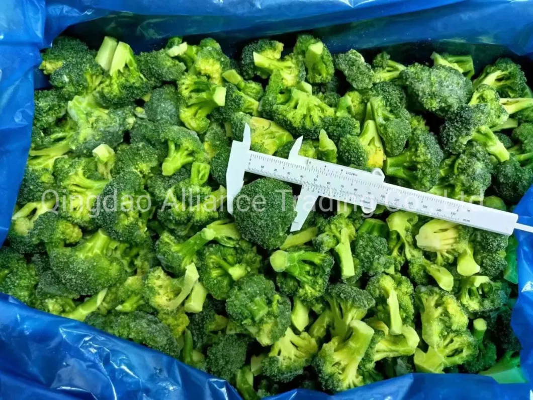 China Great Value Frozen Crop Green Broccoli Organic IQF Broccoli with Retail Bulk Price for Exporting