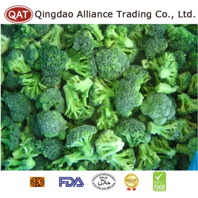 Cina Produttore biologico Fabbrica Broccoli verdi congelati Tagliati IQF Broccoli verdi con un buon prezzo
