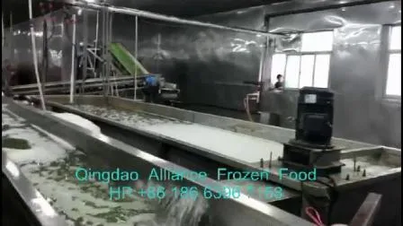 Fornitura diretta di piselli verdi IQF congelati di alta qualità in Cina in imballaggi al dettaglio sfusi con certificazione HACCP FDA Brc
