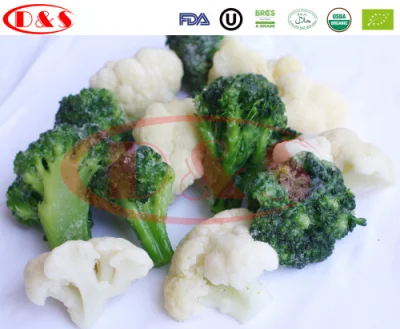 Commercio all'ingrosso con il miglior prezzo Broccoli congelati IQF